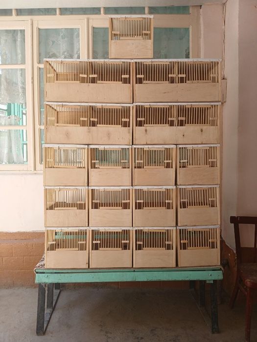 Торковок сотаман Срочно продам