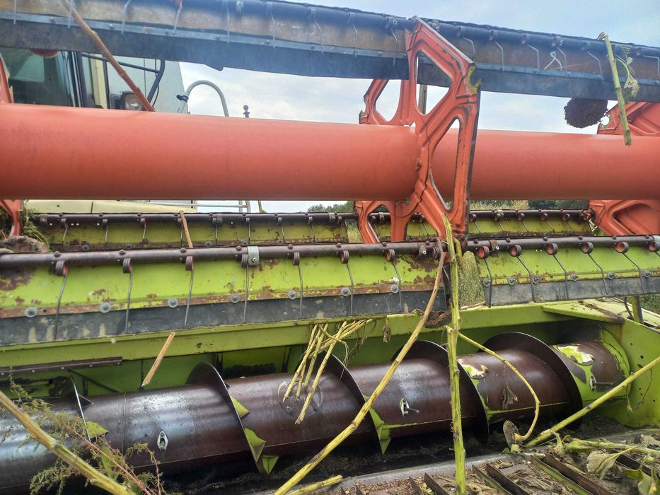 vand echipament recoltat floarea soarelui original claas cu tavite