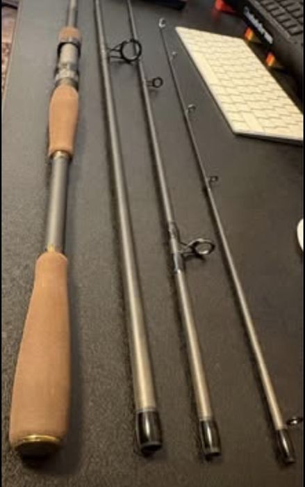Combo spinning / Mulineta Daiwa Regal LT1000 si Lanseta Travel Delphin SpinTrip