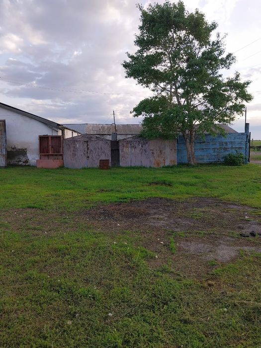 Животноводческое хозяйство