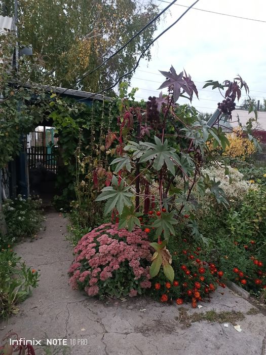 Продам дачу на Бобровке