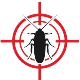 Дезинфекция | Дизенфекция | Дизенфекция клопов тараканов от блох змей