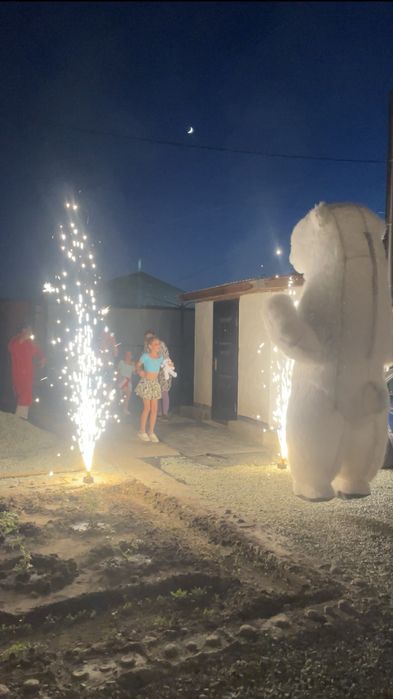 Поздравления от мишки Умки. Праздники. Аниматоры