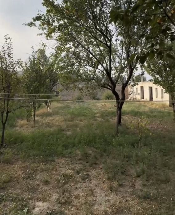 СРОЧНО ЕР СОТИЛАДИ, Зангиота туманида.