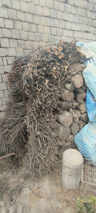 Отинлар сотилади нархи келишилади