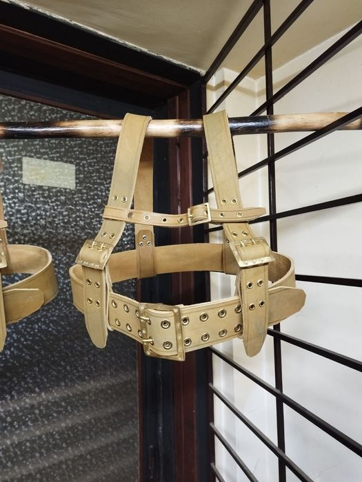 Чанове/ кукерски колани