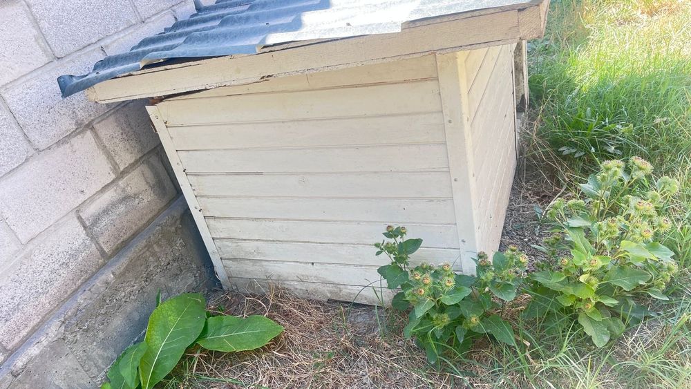 Домик для собак и