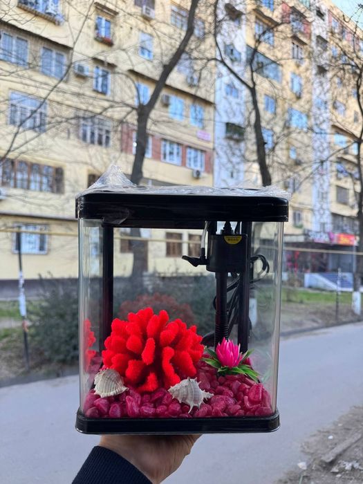 Akvarum va baliq magazin