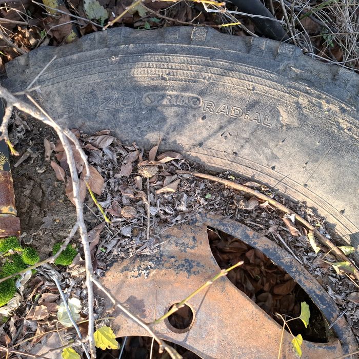 Джанти  за Прага