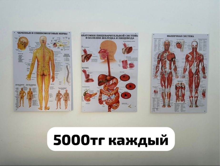 Ширма 15000тг картины 5000тг
