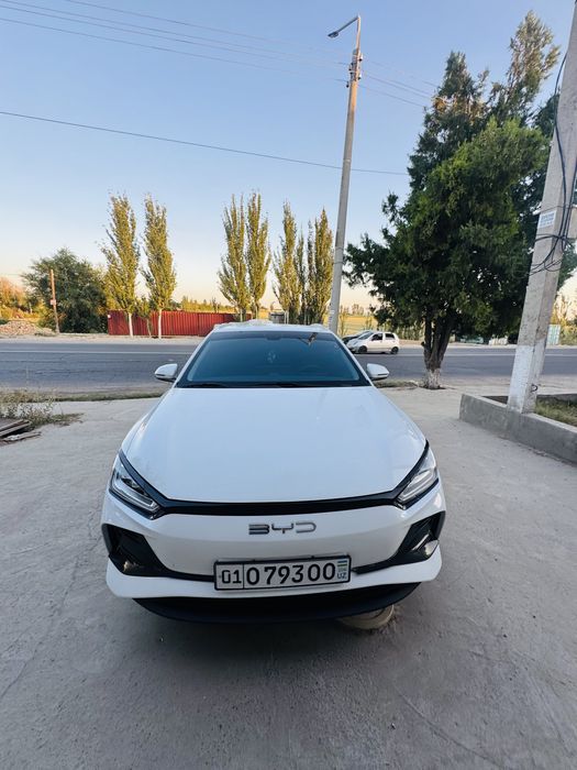 Byd 2023 Yil 13800 $