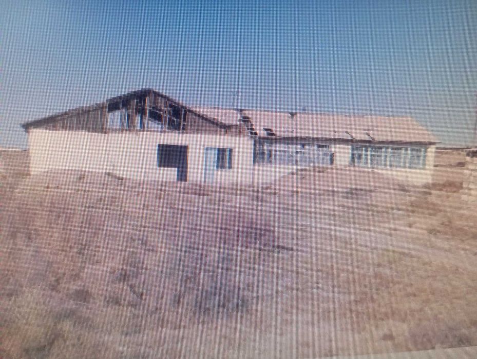 Уй сотилади нишон 2 совхоз