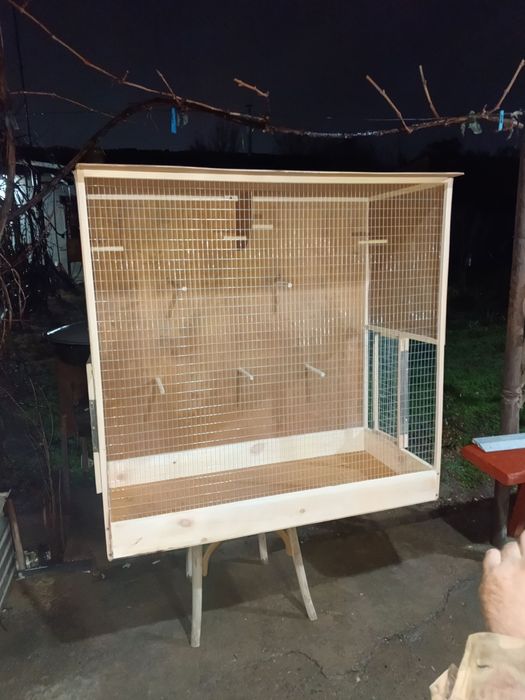 клетках для канареек