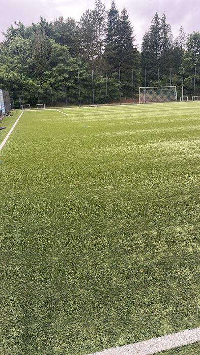 Gazon sintetic/artificial