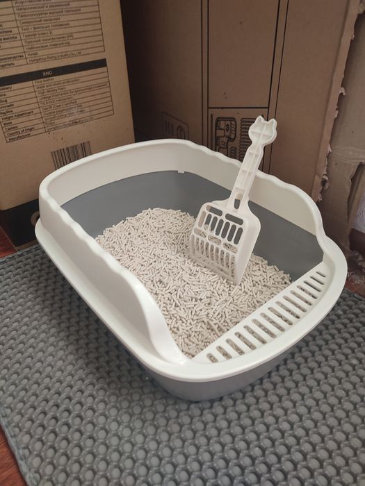 Отдам котенка девочка вместе с лотком