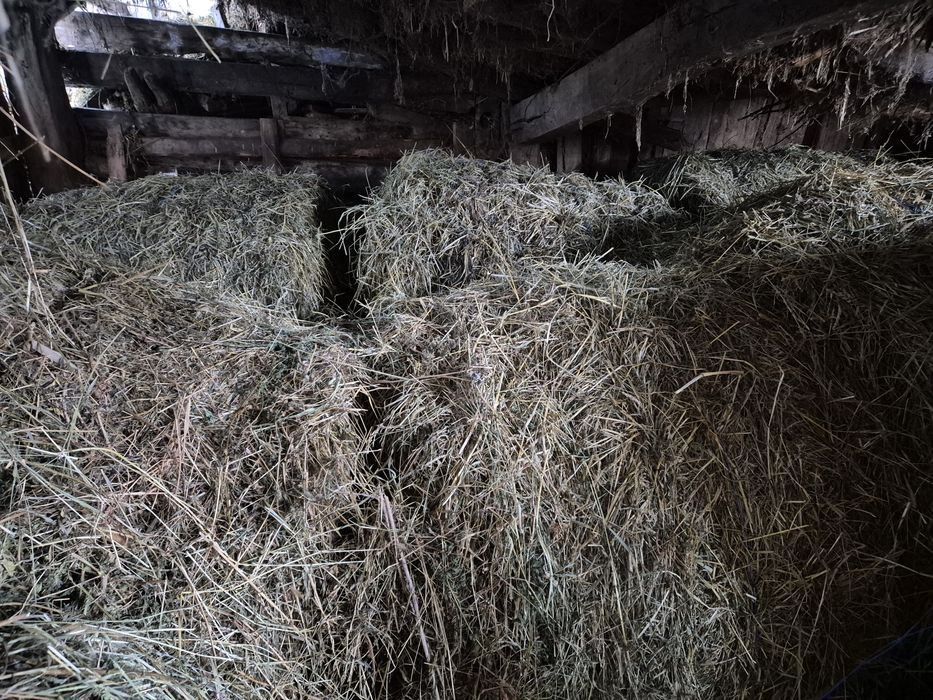 Baloti mari  rotunzi ,coasa a doua,lucerna +fan