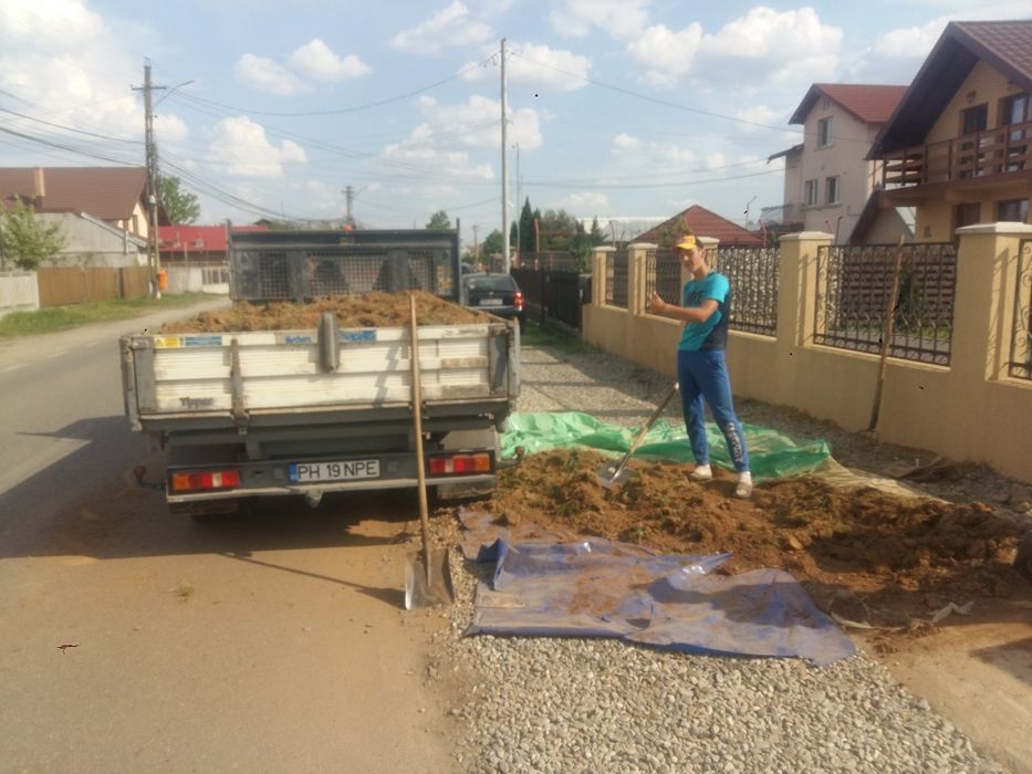 Ridic moloz mobilă veche resturi vegetale etc.