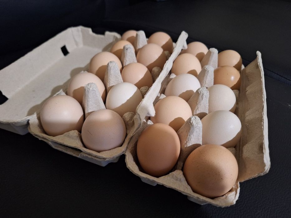 Ouă pentru consum proaspete