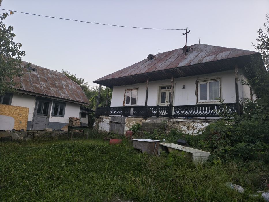 Vând casă bătrânească Leontinesti  jud Bacău locuibila și teren de 5000 m , cu livada și vie