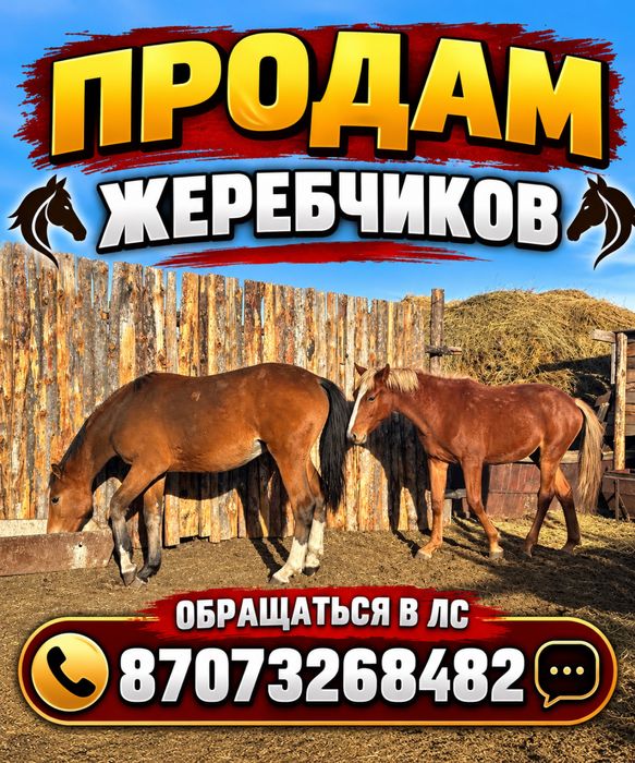 Продам, сатамын