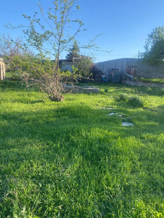 Yer oladiganlaga 6 sotuk yer bor manzil Tólabey Qush qöndi