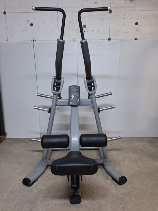 Lat pulldown Precor - helcometru spate