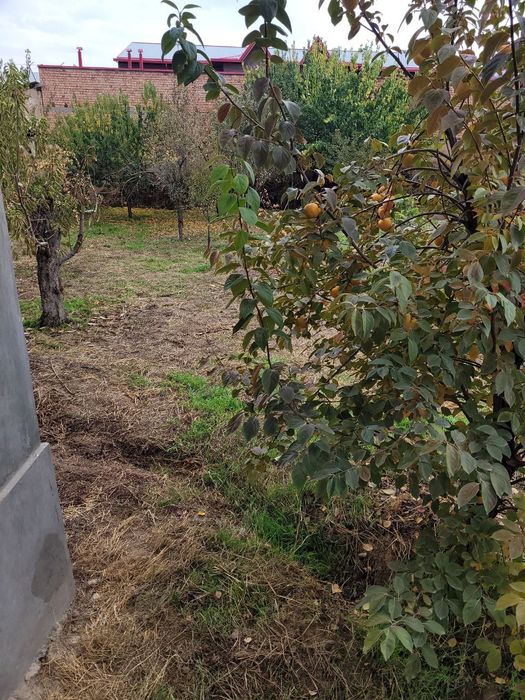 Назарбекда 1 хонали 8 сотих участка