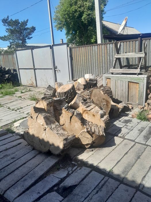 Отдам даром распилинные дрова дерево карагач