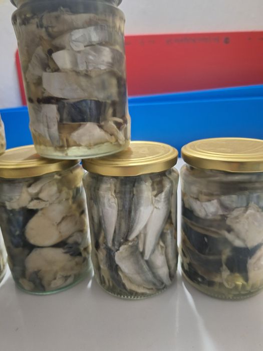 Паламуд чернокоп сафрид зарган и барбун