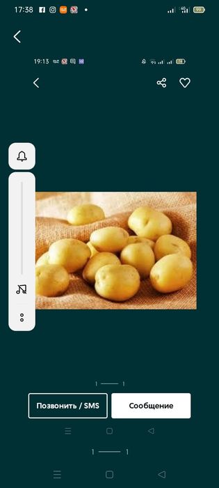 Картошка домашняя