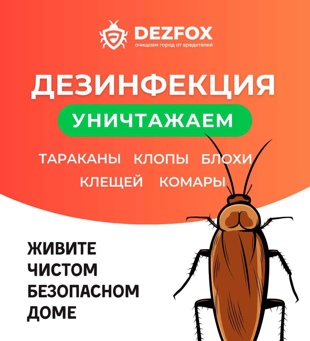 Средство Травля От Тараканов Клопов Для Дезинфекция Дезсредства Дома -  Дезинфекция помещений Талгар на Olx