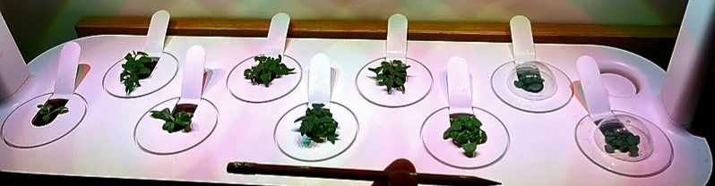 Sistem Smart Garden 9 (Bej) - Nou, Cultivă Fără Efort