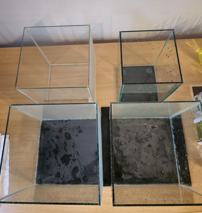 4 acvarii cub diferite dimensiuni