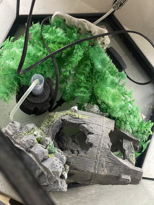 аквариум 50 литров