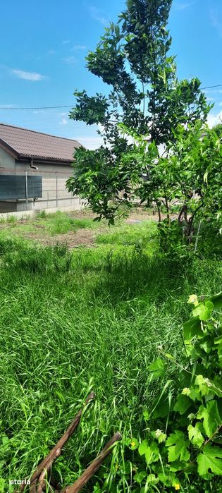 Casă cu teren de vânzare, în Râmnicu Sărat, Judeţ Buzău