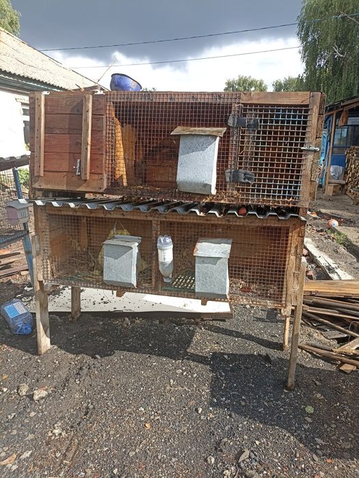 Продам клетки для кроликов