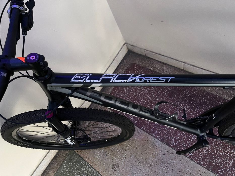 MTB Focus Black Forest - 29er - marime L