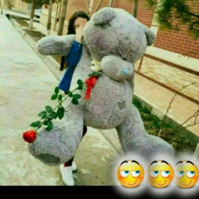 Teddy Teddy orginal Xitoy