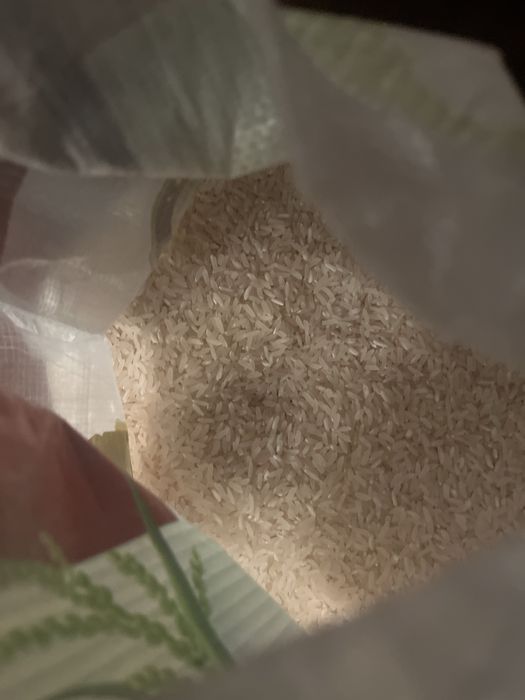 Лазер күріштер рис лазер