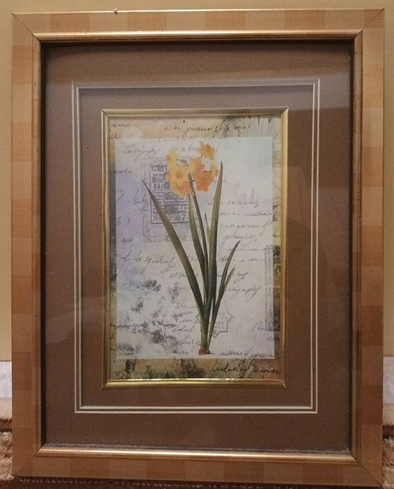 Картини в рамка-отлично състояние