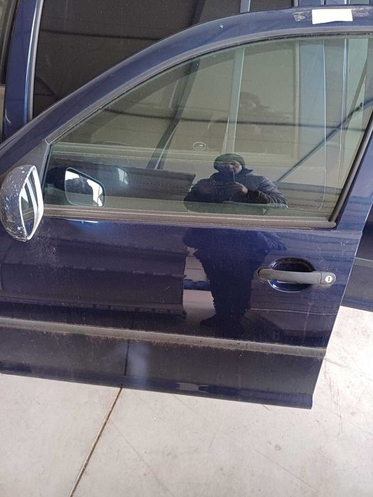 Vand usi Volkswagen Golf 4