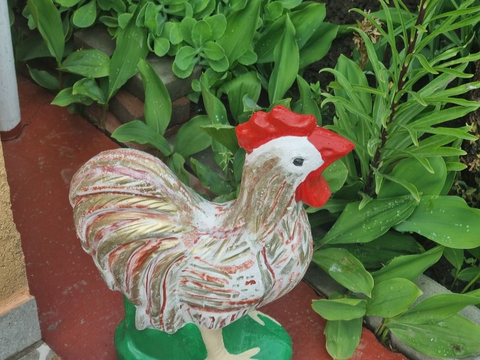 Decorațiuni gradina si perete