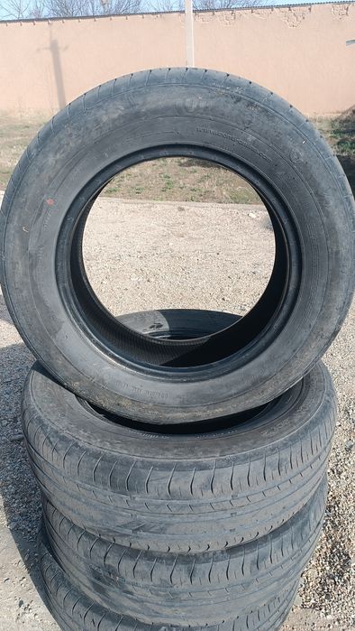 Cobalt radnoy balonlari