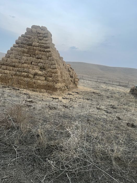 сено люцерн багасы келисимди