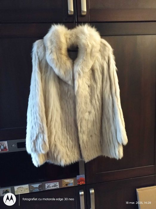 Blana vulpe, ML, scurta, gri, ieftina, 300 lei