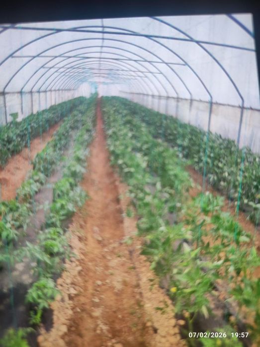 Solar de vânzare 50×6×4(înălțime reglabila)