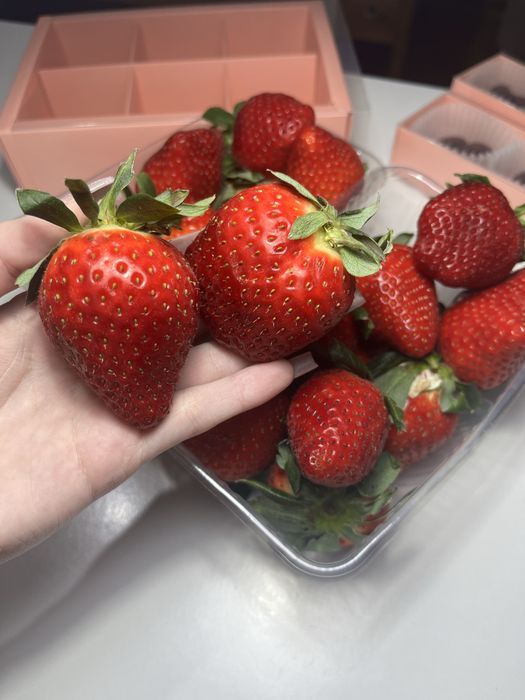 Клубника в шоколаде