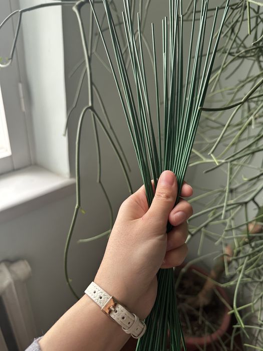 Синельная проволка