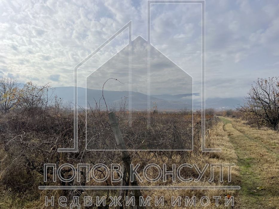 Продава се Парцел в с. Брестник, Област Пловдив - 3599 кв.м за 31 €/кв.м - Снимка #1
