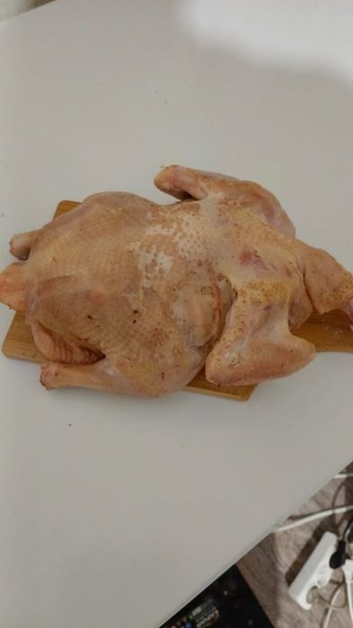 Бройлер домашняя